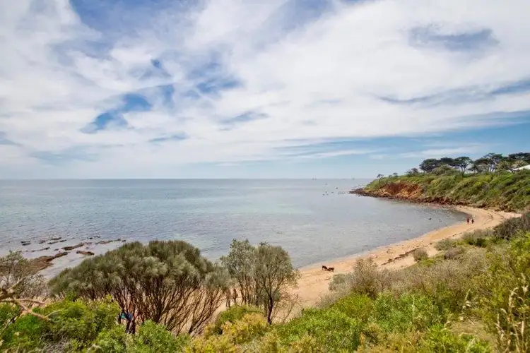 Fifth view of Homely house listing, 5/36-40 Tanti Avenue, Mornington VIC 3931
