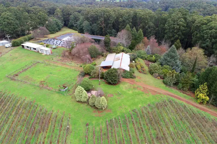 Main view of Homely house listing, 355 Prices Road, Gladysdale VIC 3797
