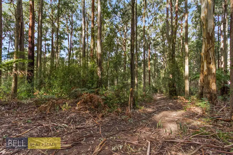 Main view of Homely rural property listing, 1080 Beenak East Road, Gembrook VIC 3783