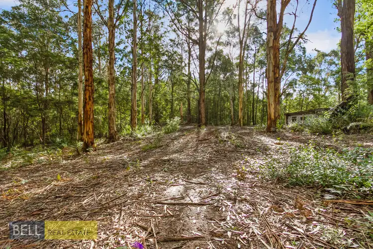 Second view of Homely rural property listing, 1080 Beenak East Road, Gembrook VIC 3783