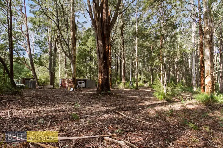 Third view of Homely rural property listing, 1080 Beenak East Road, Gembrook VIC 3783
