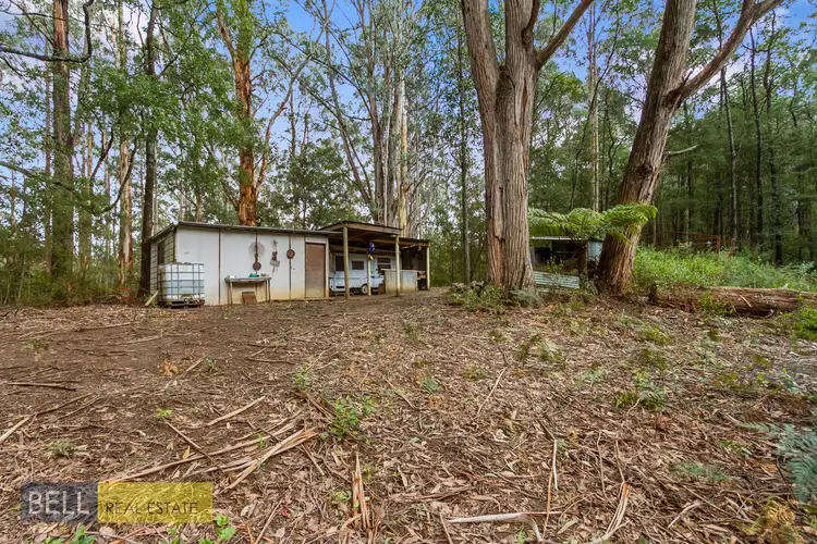 Fourth view of Homely rural property listing, 1080 Beenak East Road, Gembrook VIC 3783