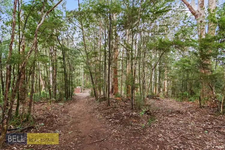Seventh view of Homely rural property listing, 1080 Beenak East Road, Gembrook VIC 3783