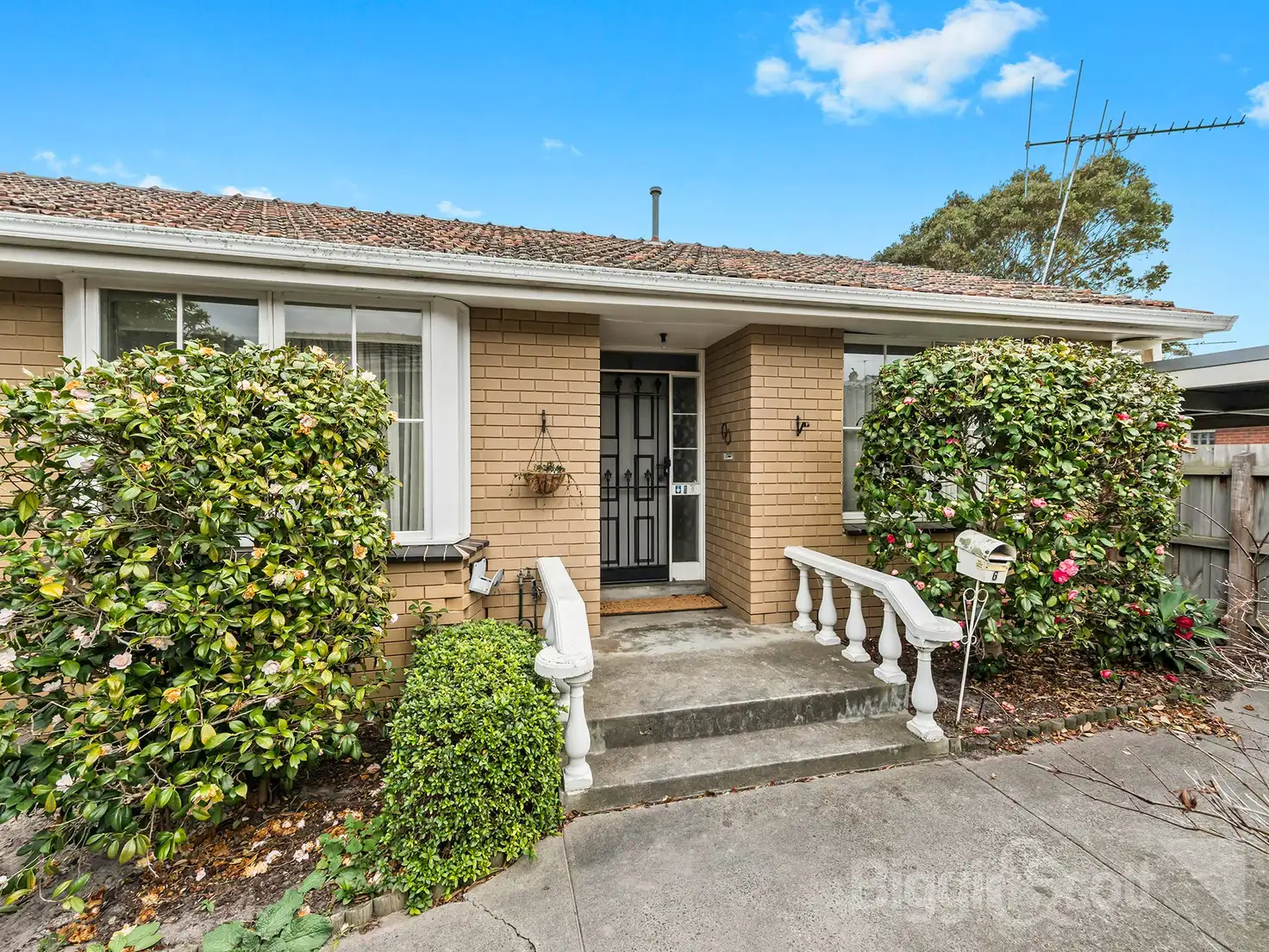 Main view of Homely villa listing, 6/47 Abbott Street, Sandringham VIC 3191