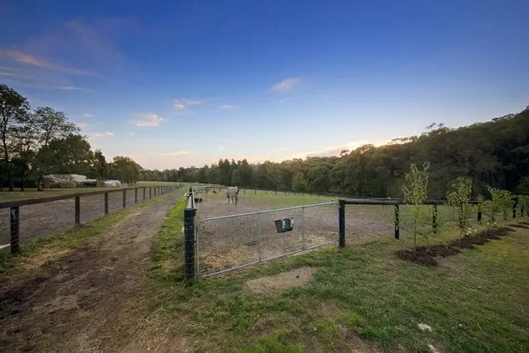 Sixth view of Homely rural property listing, 235 Morrison Road, Pakenham Upper VIC 3810