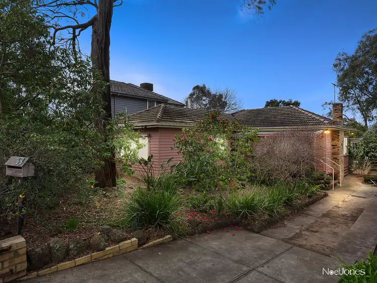 53 Kitchener Street, Box Hill South VIC 3128