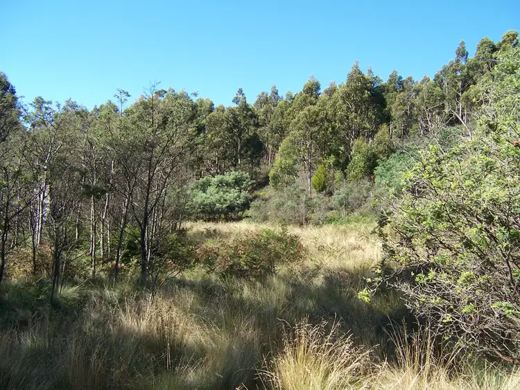 Fifth view of Homely rural property listing, 421 Springhill Bottom Road, Colebrook TAS 7027