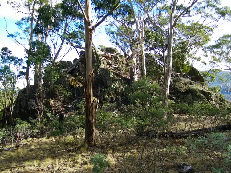 Sixth view of Homely rural property listing, 421 Springhill Bottom Road, Colebrook TAS 7027