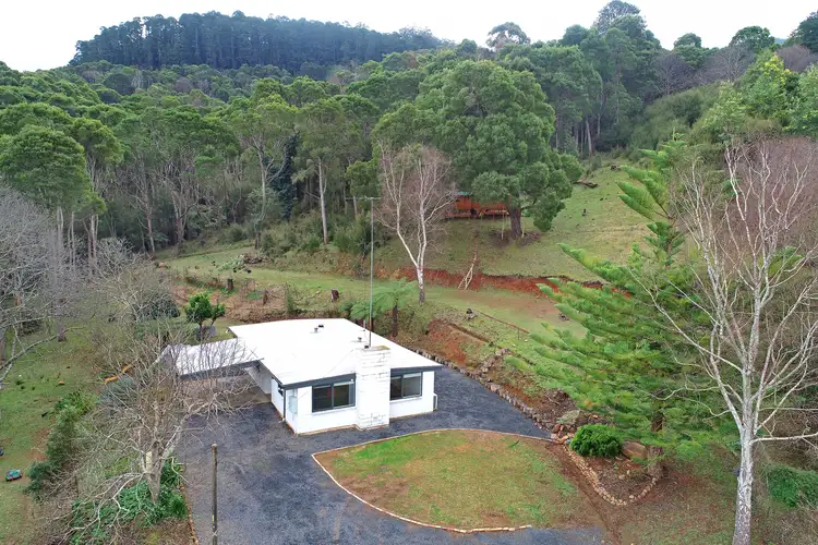 99 Wonga Road, Millgrove VIC 3799