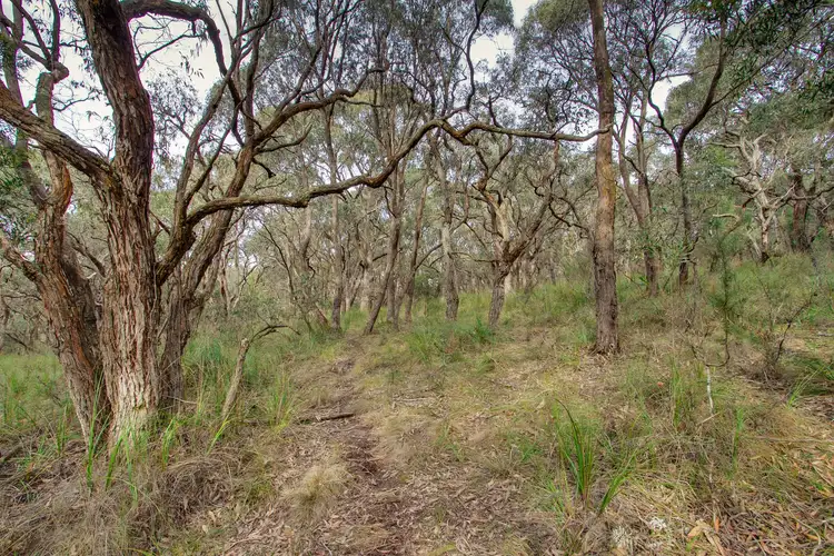 Seventh view of Homely land listing, Lot/101 Short Road, Macclesfield VIC 3782