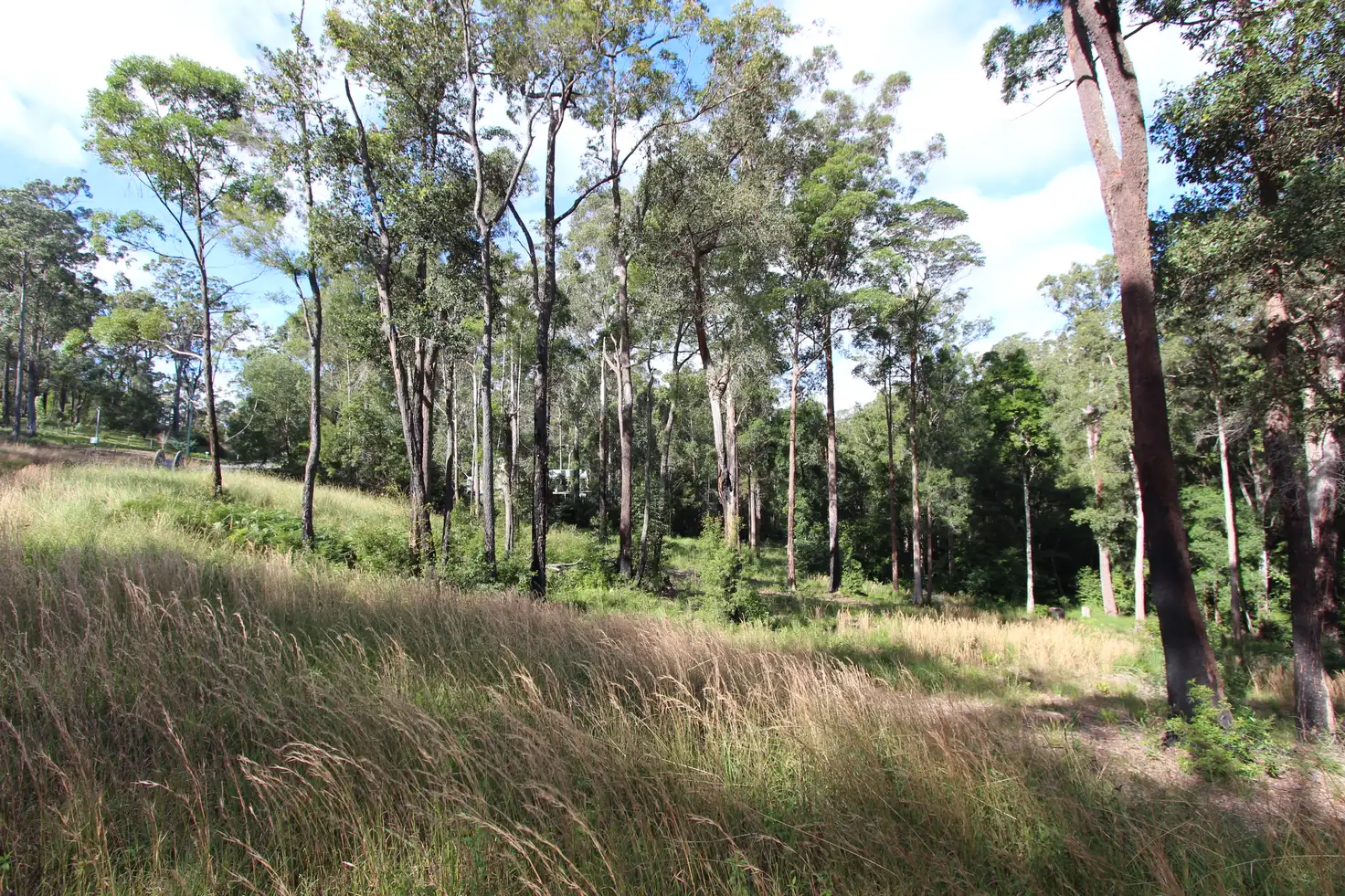 Main view of Homely land listing, 4 Lake Spur, Kew NSW 2439