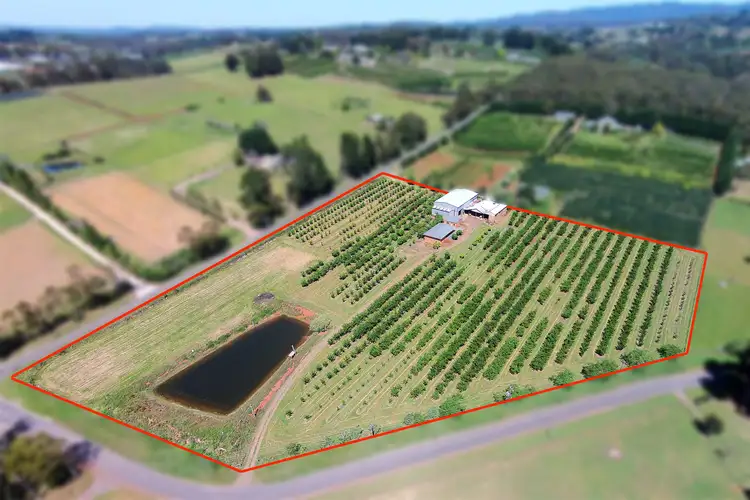 330 Beenak Road, Wandin North VIC 3139