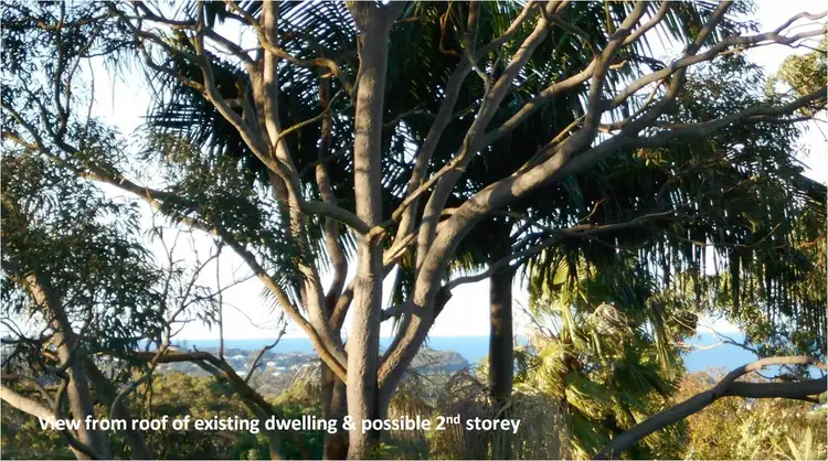 Third view of Homely house listing, 10 Iluka Avenue, Elanora Heights NSW 2101