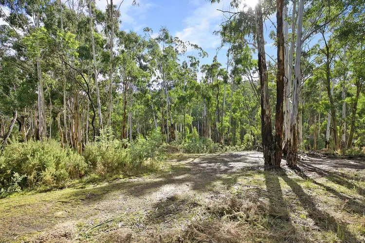 Third view of Homely land listing, 4260 Midland Highway, Eganstown VIC 3461