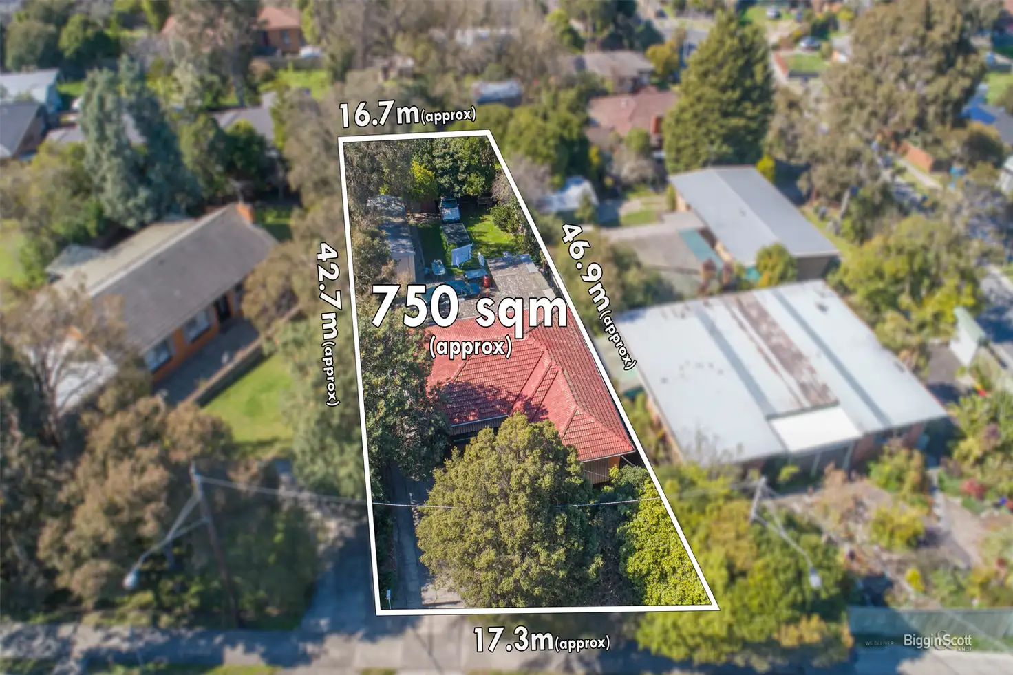 Main view of Homely house listing, 217 Scoresby Road, Boronia VIC 3155