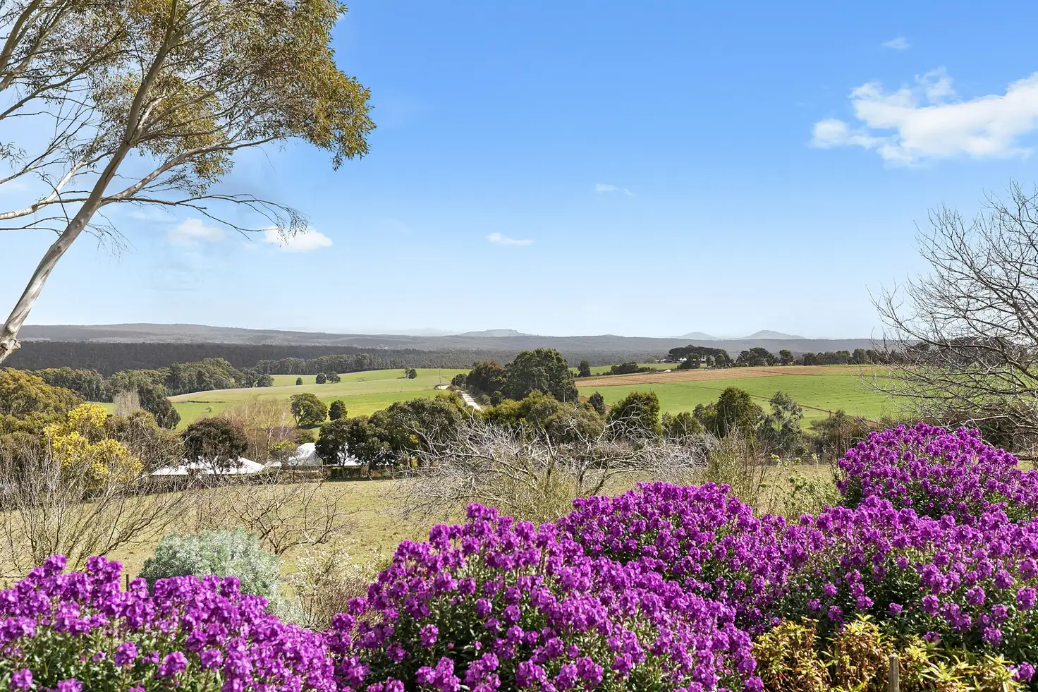 Main view of Homely house listing, 100 Barhams Road, Musk VIC 3461