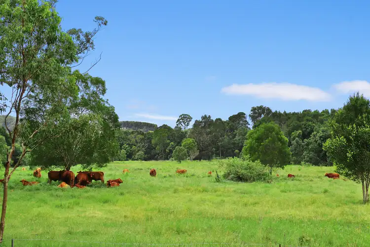 Second view of Homely land listing, 582 Gympie Kin Kin Road, Kin Kin QLD 4571