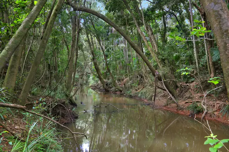 Third view of Homely land listing, 582 Gympie Kin Kin Road, Kin Kin QLD 4571