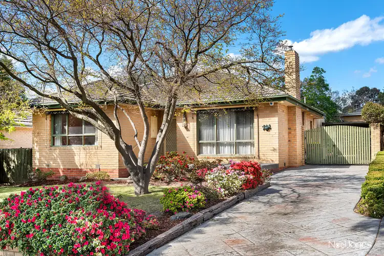 7 Majtlis Street, Blackburn North VIC 3130