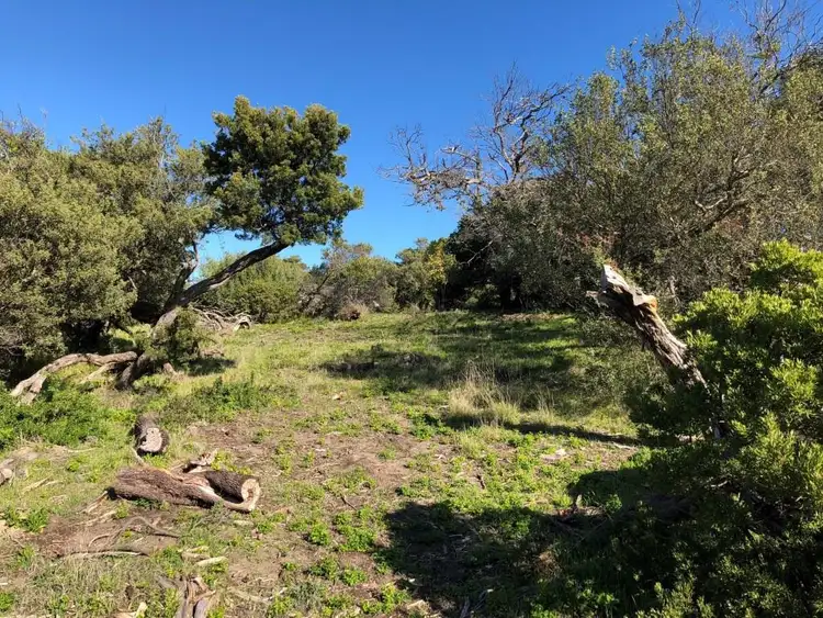 Fifth view of Homely land listing, 7 Ritchie Avenue, Blairgowrie VIC 3942