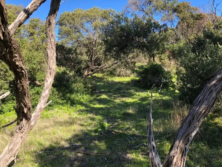 Sixth view of Homely land listing, 7 Ritchie Avenue, Blairgowrie VIC 3942