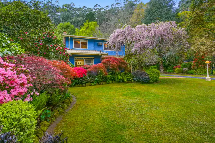 Fourth view of Homely house listing, 187 Woods Point Road, East Warburton VIC 3799