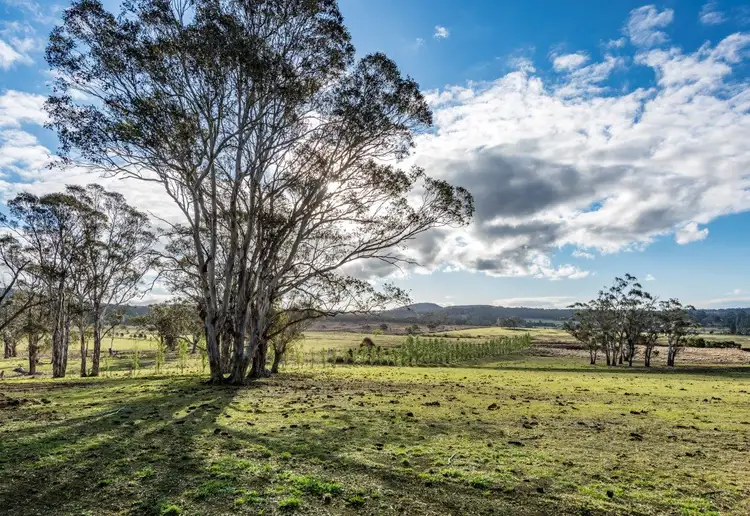 101 Buckmans Lane, Mittagong NSW 2575