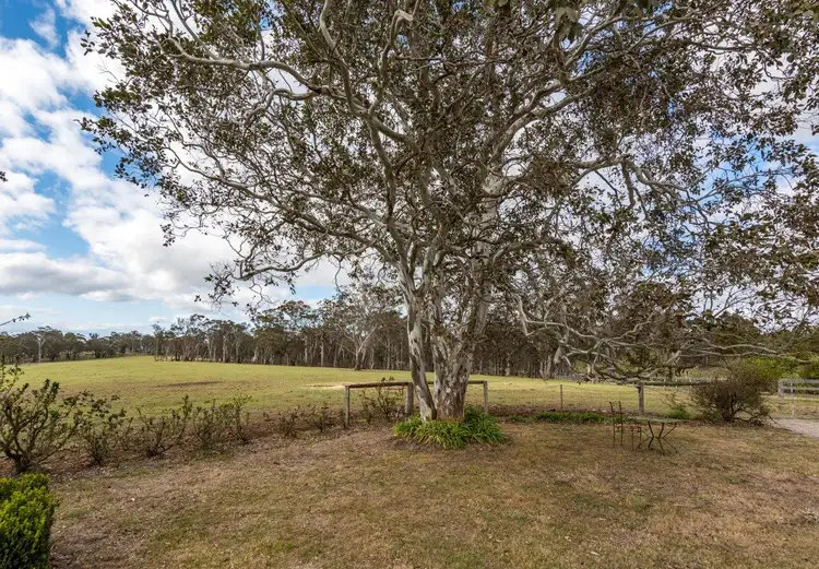 Fifth view of Homely rural property listing, 101 Buckmans Lane, Mittagong NSW 2575