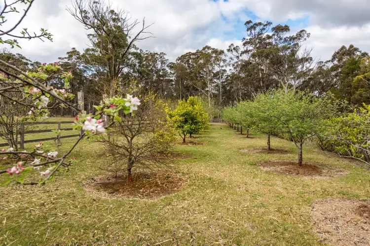 Sixth view of Homely rural property listing, 101 Buckmans Lane, Mittagong NSW 2575
