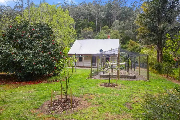 212 Woods Point Road, East Warburton VIC 3799