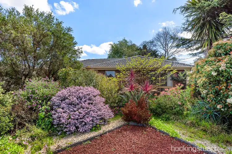 Main view of Homely house listing, 8 Olstead Drive, Baxter VIC 3911
