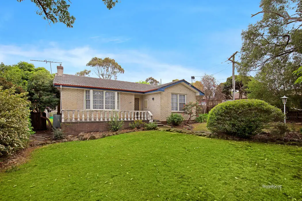 Main view of Homely house listing, 238 Boronia Road, Boronia VIC 3155