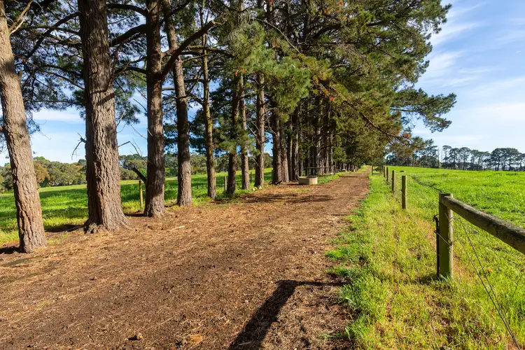 Second view of Homely house listing, 580 Main Creek Road, Main Ridge VIC 3928