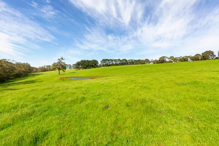 Fourth view of Homely house listing, 580 Main Creek Road, Main Ridge VIC 3928