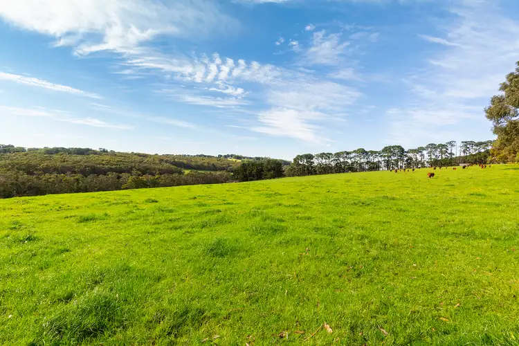Fifth view of Homely house listing, 580 Main Creek Road, Main Ridge VIC 3928