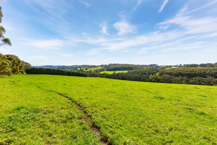 Sixth view of Homely house listing, 580 Main Creek Road, Main Ridge VIC 3928