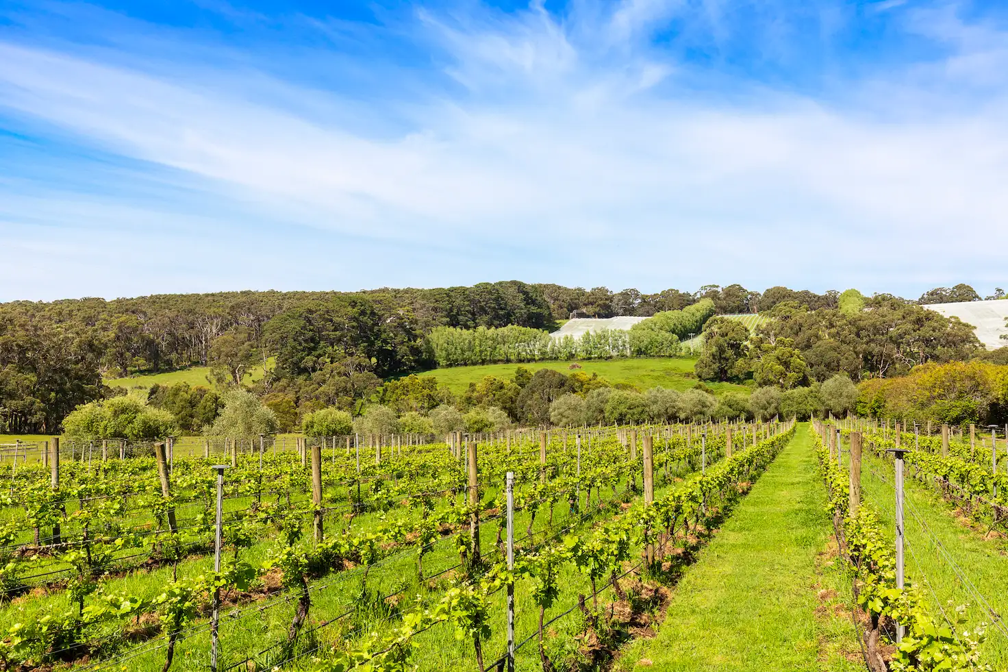 Main view of Homely land listing, 340 Tucks Road, Shoreham VIC 3916