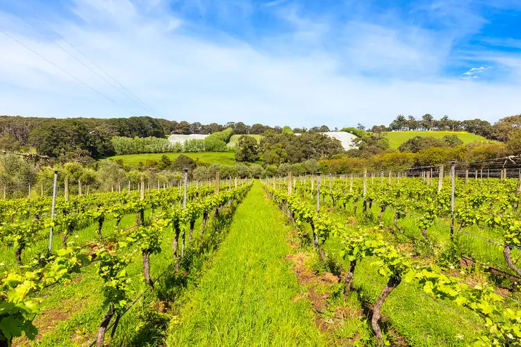 Second view of Homely land listing, 340 Tucks Road, Shoreham VIC 3916