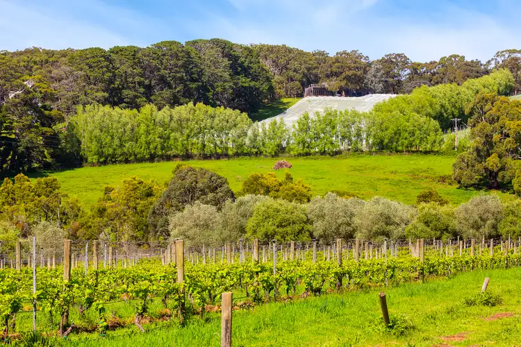 Third view of Homely land listing, 340 Tucks Road, Shoreham VIC 3916