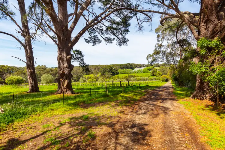 Fourth view of Homely land listing, 340 Tucks Road, Shoreham VIC 3916