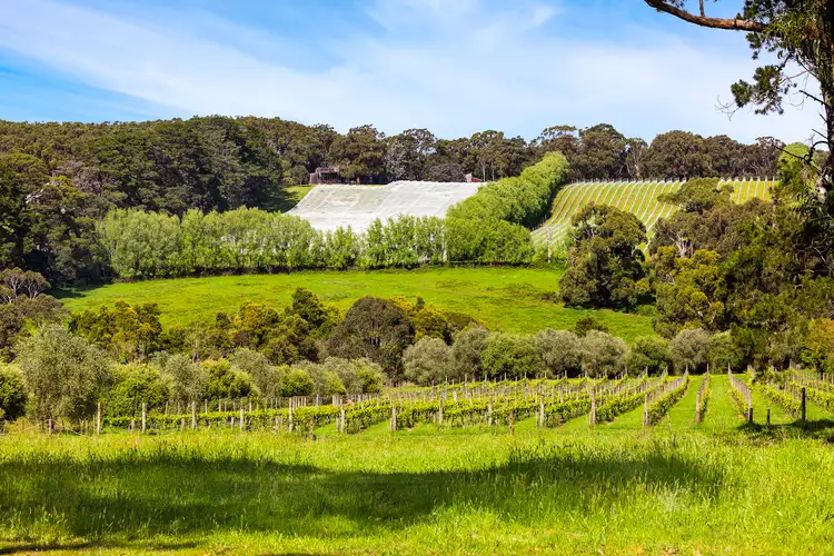 Fifth view of Homely land listing, 340 Tucks Road, Shoreham VIC 3916
