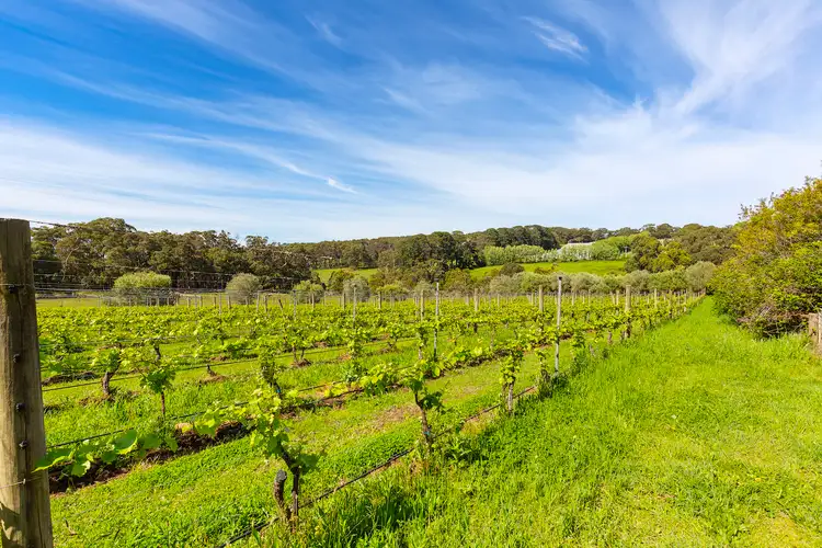 Sixth view of Homely land listing, 340 Tucks Road, Shoreham VIC 3916