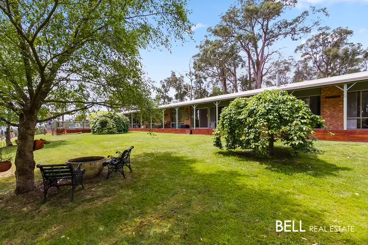 231 Tschampions Road, Macclesfield VIC 3782
