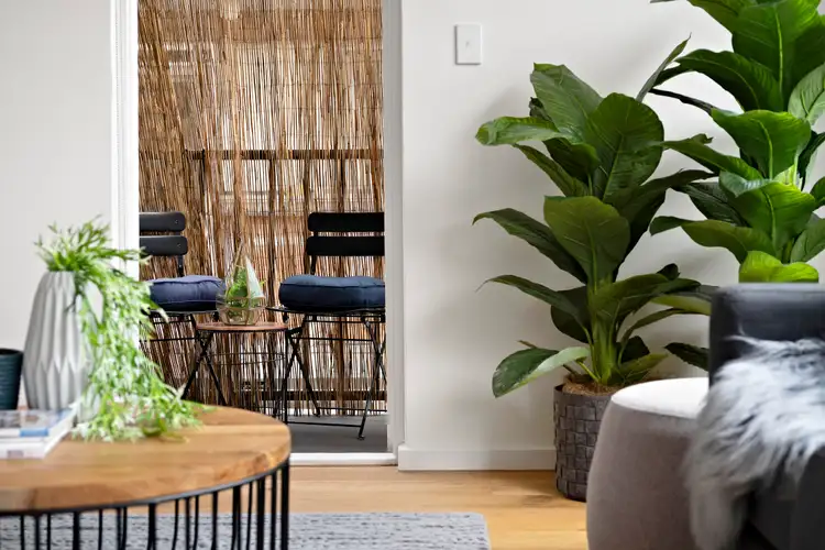 Sixth view of Homely apartment listing, 3/42 Alexandra Street, St Kilda East VIC 3183