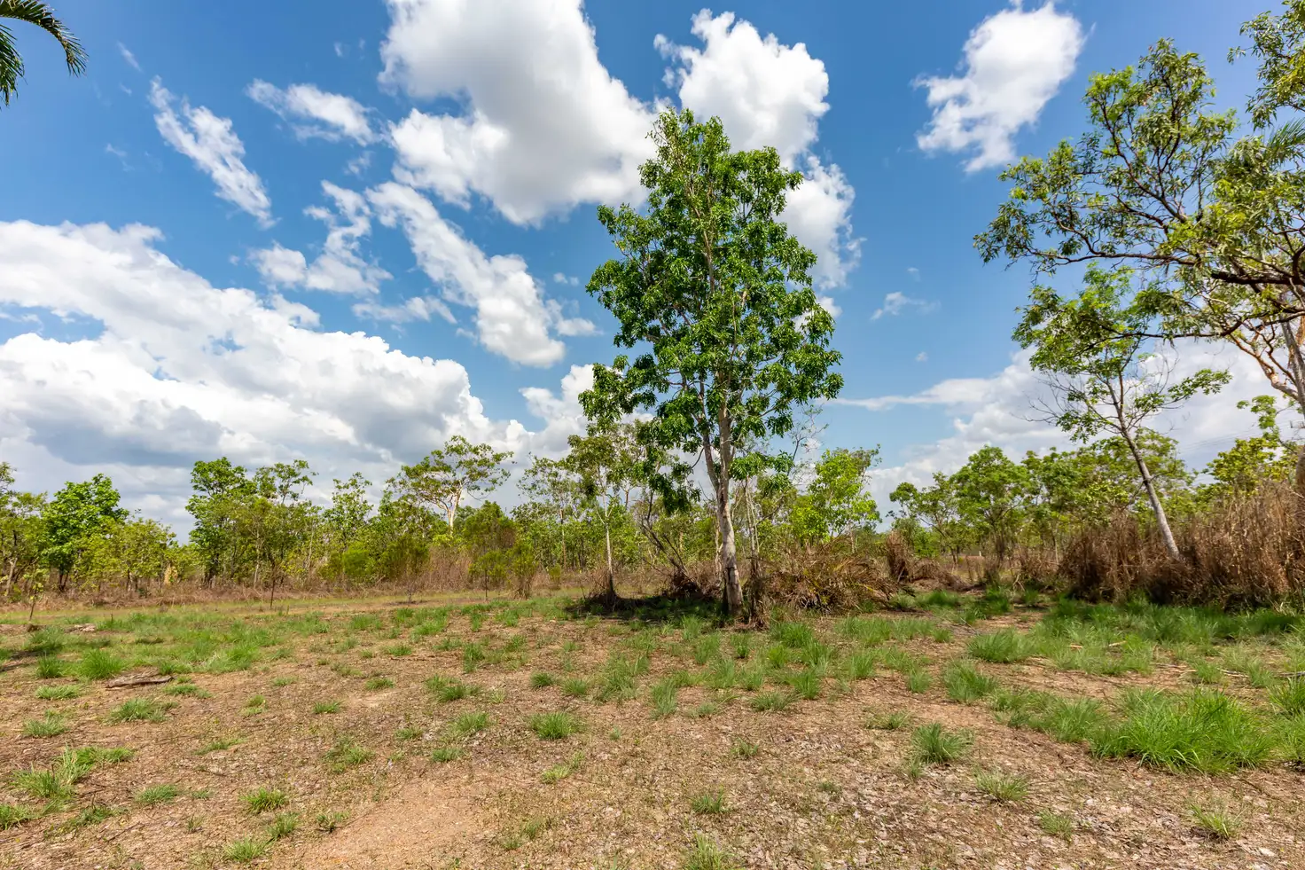 Main view of Homely land listing, 670 Leonino Road, Fly Creek NT 822