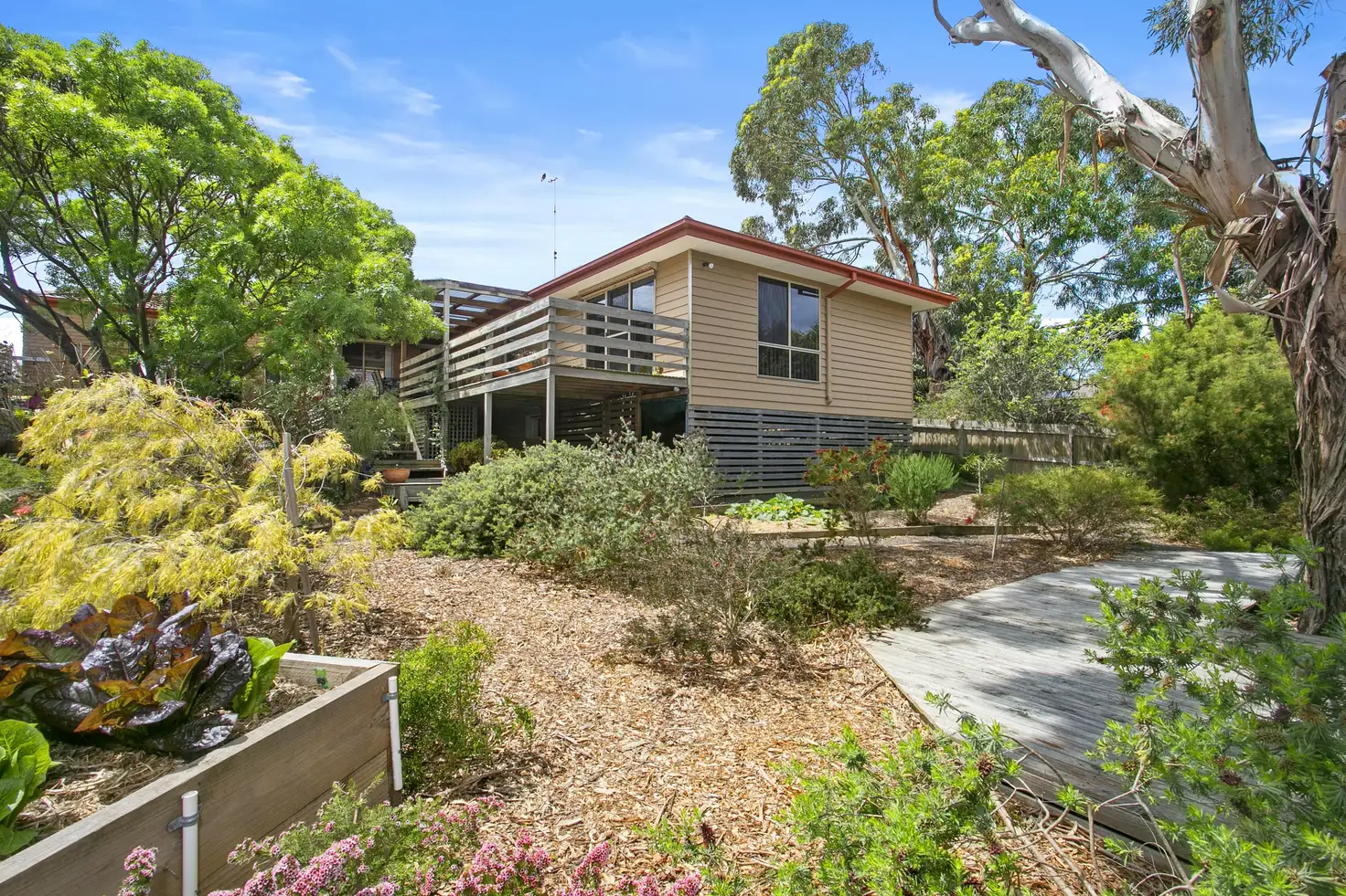 Main view of Homely house listing, 20 Halibut Avenue, Ocean Grove VIC 3226