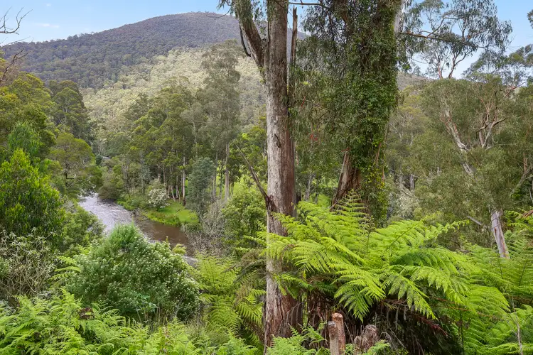 49 Riverturn Lane, Warburton VIC 3799