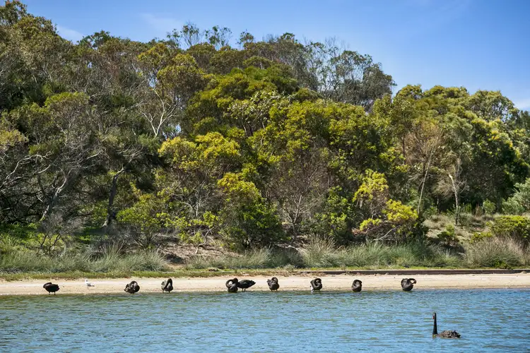 Fourth view of Homely land listing, 16 Pipi Street, Point Lonsdale VIC 3225