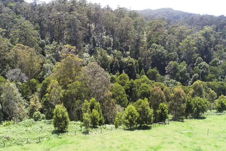 Fourth view of Homely land listing, Lot 1/1150 Great Ocean Road, Apollo Bay VIC 3233