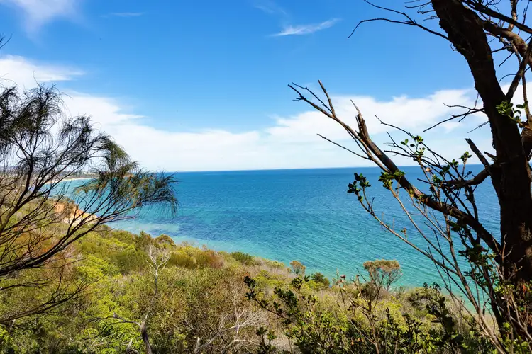 Sixth view of Homely house listing, 22 Birdrock Avenue, Mount Martha VIC 3934